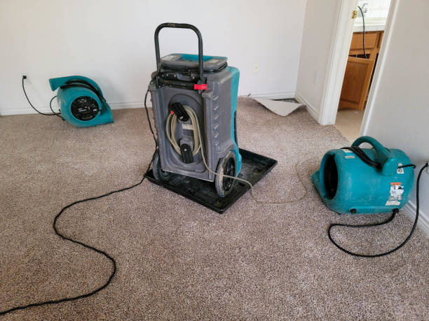 Water damage restoration experts in Oceanport, NJ