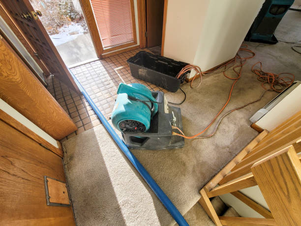 Best Water damage cleanup near me  in Oceanport, NJ