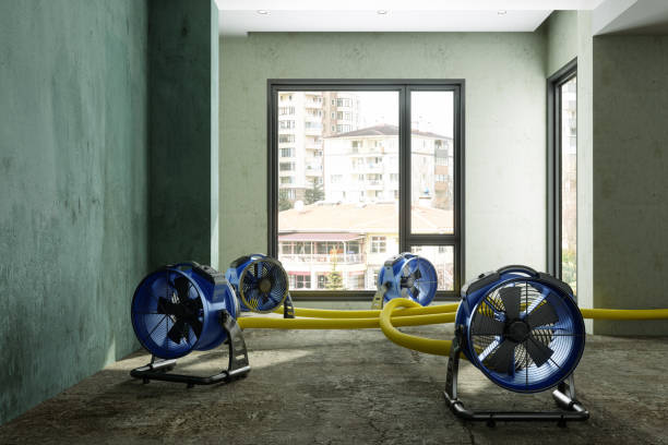 Best Flood restoration services  in Oceanport, NJ